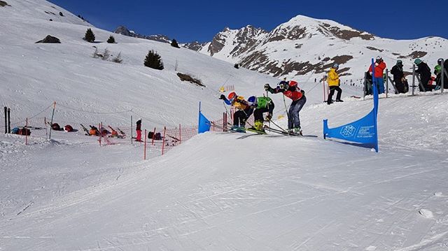 Skicross, ready, set, go